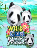 สมัคร เครดิต ฟรี ไม่ ต้อง แชร์คา สิ โน scg9 เล่นง่ายๆ ตังค์เข้ารัวๆ